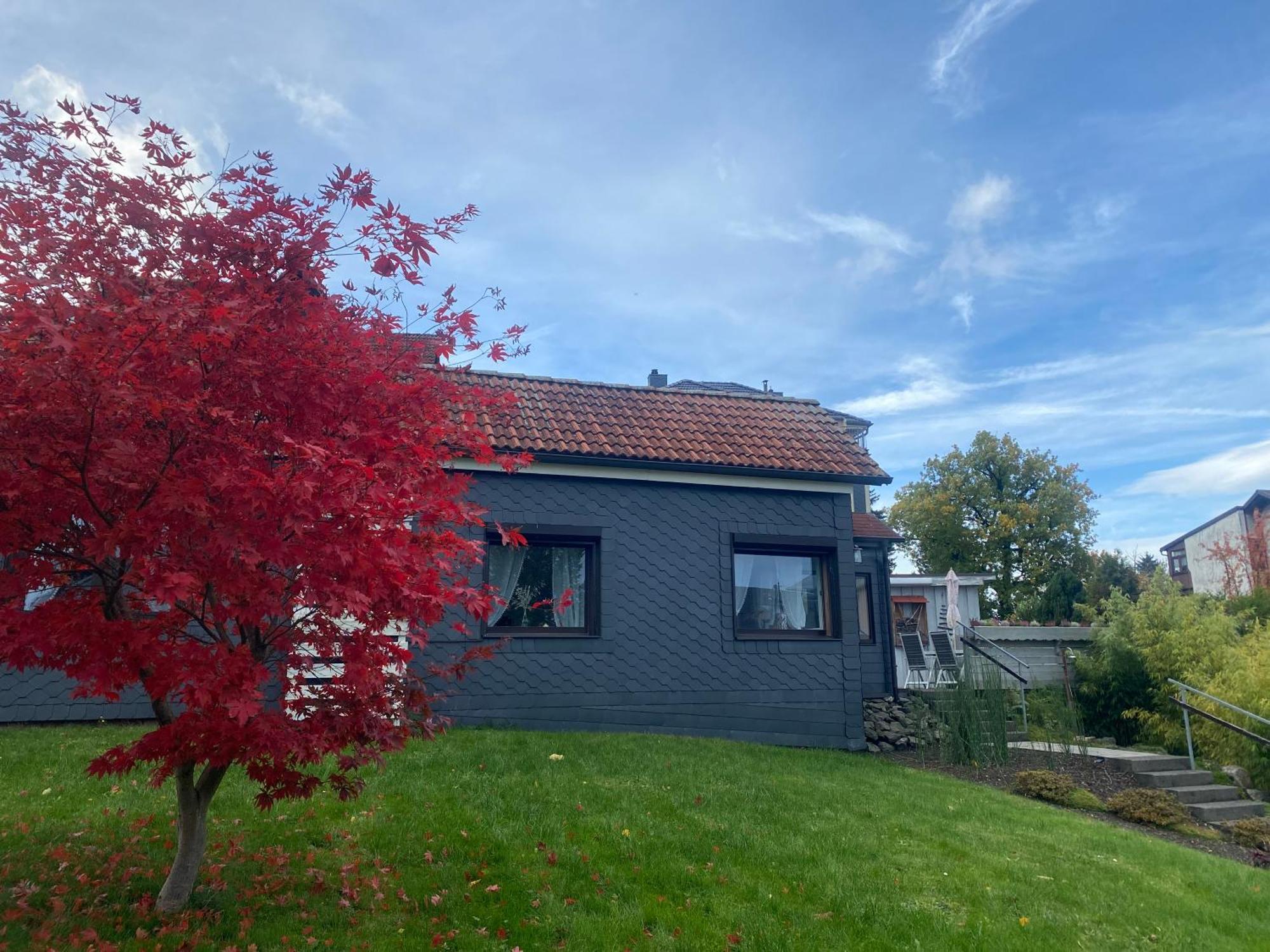 Ferienhaeuschen Gartenblick Friedrichroda Exteriér fotografie